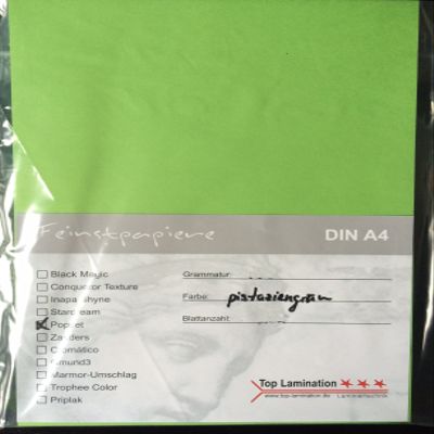 100 Sheets DIN A3 Pistachio Green Paper, 90 gsm