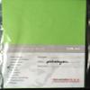 100 Sheets DIN A3 Pistachio Green Paper, 90 gsm view 1