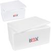 THERM BOX Styrofoam Cooler Box Set, 46 L & 12 L, 3 cm Walls view 1
