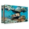 CALVENDO Premium Textured Canvas 75 x 50 cm Landscape, Pufferfish view 3