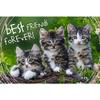 Trefl 13215 - Cat Love Puzzle, 260 Pieces view 2