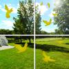 Decooo.be 22 Window Warning Birds – Prevents Bird Strikes – Complete Set with Spray and Squeegee – Self-Adhesive Birds of Prey – Gold view 2