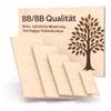 AUPROTEC 120 x 110 cm Birch Multiplex Panel | BB/BB Grade | 24 mm view 1