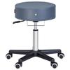 Master Massage Costco Rolling Stool, Swivel Work Stool, Treatment Stool, Esthetician Stool, Royal Blue view 1