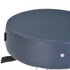 Master Massage Costco Rolling Stool, Swivel Work Stool, Treatment Stool, Esthetician Stool, Royal Blue view 3