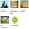 ITALFROM Wooden Garden Storage Annex, 16 mm, 2.2 m² view 4