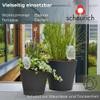 Scheurich S Birdy Water Dispenser | Clear | 90 ml | Small Watering Globe with Terracotta Stem view 2
