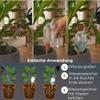 Scheurich S Birdy Water Dispenser | Clear | 90 ml | Small Watering Globe with Terracotta Stem view 4