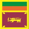 U24 Sri Lanka Flag, Vertical Format, Premium Quality, 150 x 500 cm view 1