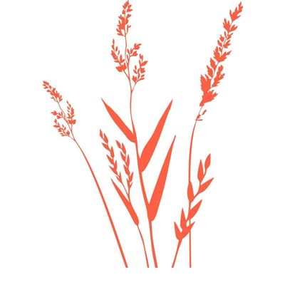 CLICKANDPRINT Grasses Sticker, 50 x 35.1 cm, Neon Orange, Decorative/Car Sticker/Vinyl Decal