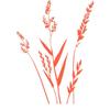 CLICKANDPRINT Grasses Sticker, 50 x 35.1 cm, Neon Orange, Decorative/Car Sticker/Vinyl Decal view 1