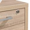 Mobile Filing Cabinet, Brown Oak, 4 Drawers, Lockable view 4