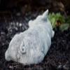 stoneandstyle Cast Stone Pig Figurine, Handmade in Germany, Frost- and Weather-Resistant to -30°C view 4