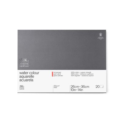 Winsor & Newton Professional Watercolor Block, 4-Sided Glued, 20 Sheets, 300 gsm, Satin, 25.4 x 35.6 cm