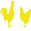 CLICKANDPRINT Restroom Sticker Chicken & Rooster, 40 x 23.1 cm, Sulfur Yellow view 1