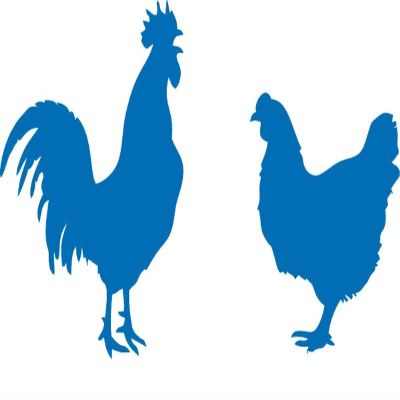 CLICKANDPRINT WC Sticker Chicken & Rooster, 20 x 11.5 cm, Azure Blue