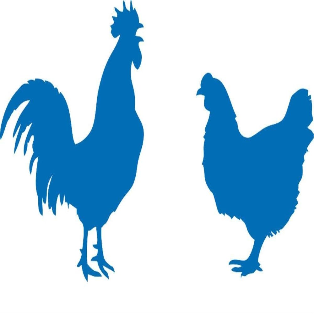 CLICKANDPRINT WC Sticker Chicken & Rooster, 20 x 11.5 cm, Azure Blue