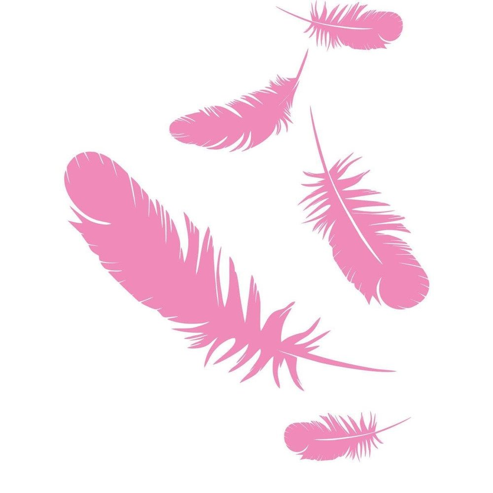 CLICKANDPRINT Feather Wall Decal, 80 x 59.3 cm, Light Pink