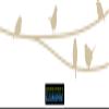 CLICKANDPRINT Bird Wall Decal, 290 x 51.1 cm, Beige view 1
