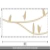 CLICKANDPRINT Bird Wall Decal, 290 x 51.1 cm, Beige view 3