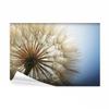 decomonkey Dandelion Nature Photo Wallpaper, 250 x 175 cm, XL, Abstract Flowers view 1