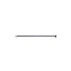 CELO CP Tip 2.5 x 30, Zinc-Plated Steel, Box of 500 view 1
