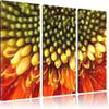 Pixxprint Close-Up of a Gerbera, 3-Piece Canvas Wall Art, Overall Size 120 x 80 cm, Ready-Stretched, Not a Poster view 1