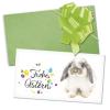 GESCHENKGUTSCHEIN.com by POS-HAUER Gift Voucher Set – 10 Vouchers, Envelopes & Ribbons, Easter Design view 1