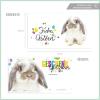 GESCHENKGUTSCHEIN.com by POS-HAUER Gift Voucher Set – 10 Vouchers, Envelopes & Ribbons, Easter Design view 2