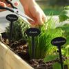 GRAVURZEILE Engraved Plant Labels – Fennel – Black Acrylic Herb Markers view 3