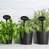 GRAVURZEILE Engraved Plant Labels – Lovage view 2