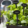 GRAVURZEILE Engraved Plant Labels – Lovage view 4