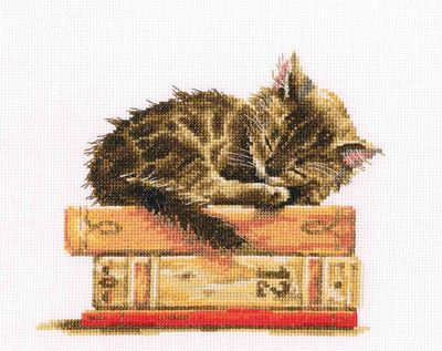 RTO M642 Cat Dream Counted Cross-Stitch Kit, Cotton, Multicolor, 19.5 x 16.5 cm
