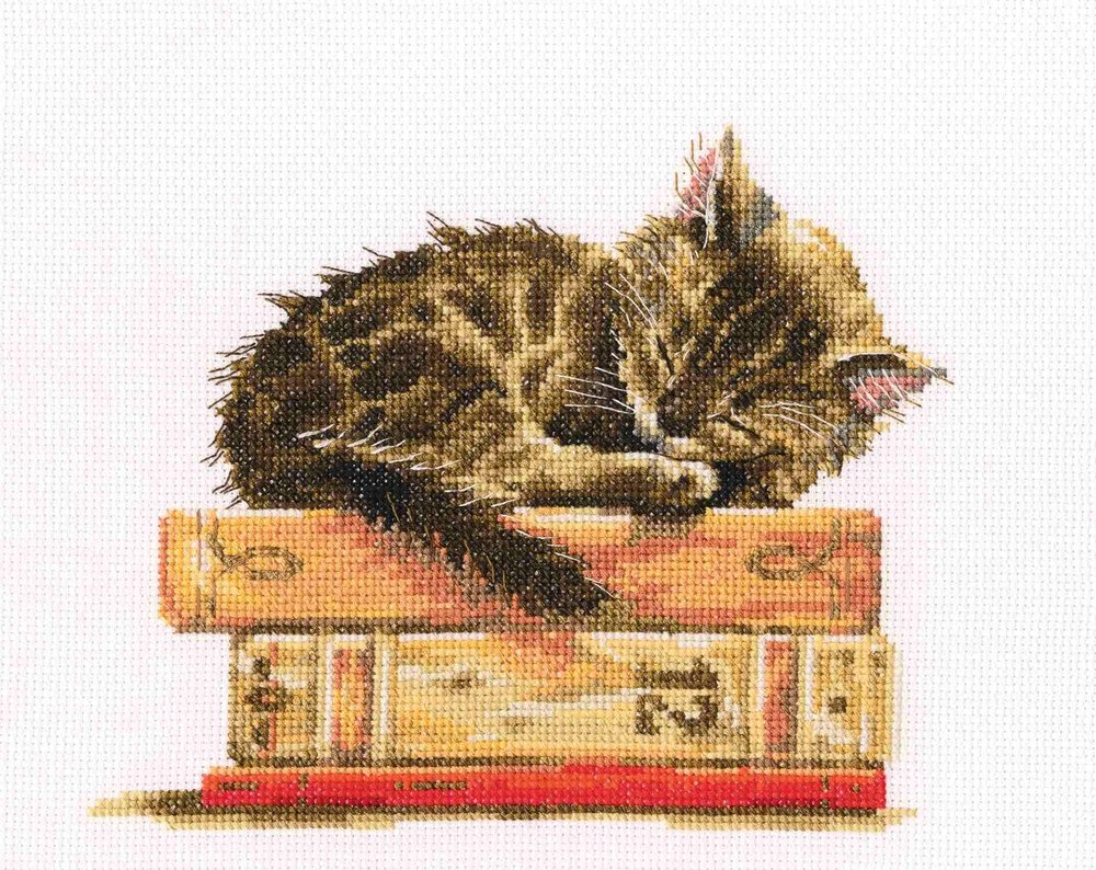 RTO M642 Cat Dream Counted Cross-Stitch Kit, Cotton, Multicolor, 19.5 x 16.5 cm
