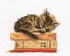 RTO M642 Cat Dream Counted Cross-Stitch Kit, Cotton, Multicolor, 19.5 x 16.5 cm view 1