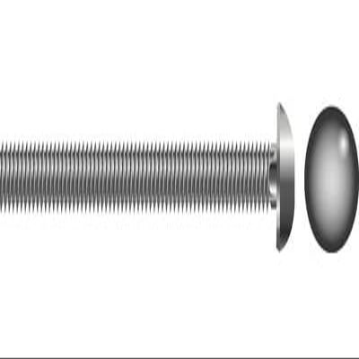 Seachoice SC1231 1/4-20 x 2 1/2 in Stainless Steel Carriage Bolts, 25-Pack