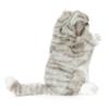 Unknown Gray Cat Plush Toy view 3