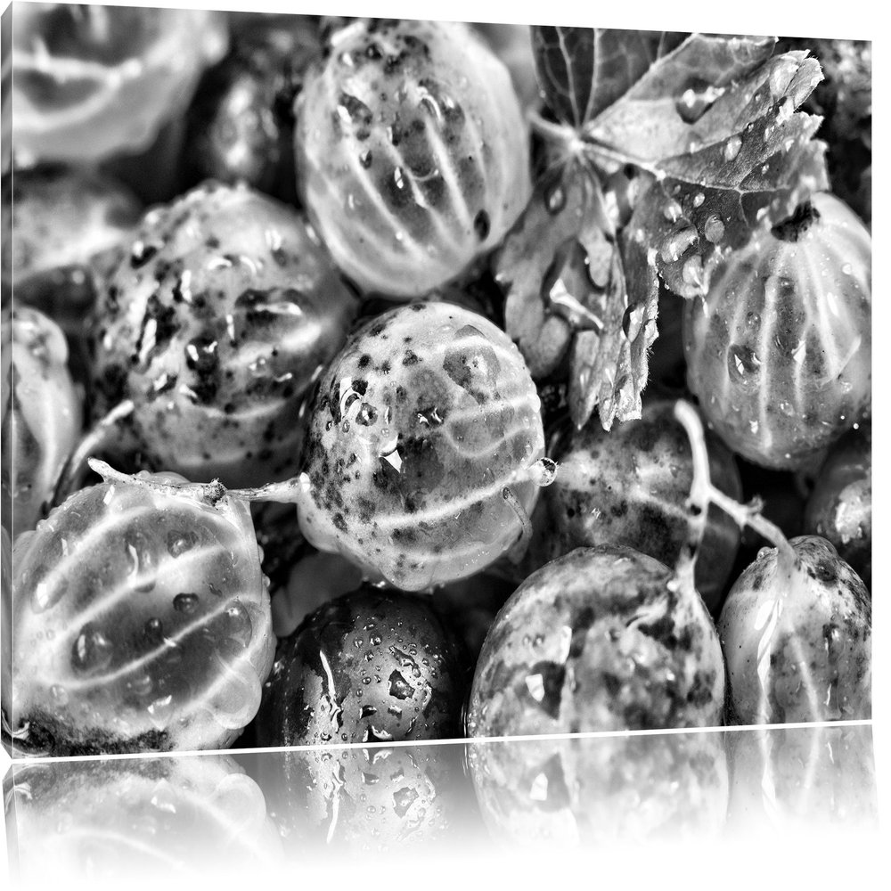 Pixxprint Monocrome, Delicious Gooseberries, 100 x 70 cm, Stretched Canvas Print, Wall Art, Art Print, Not a Poster