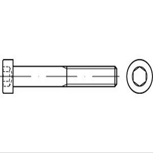 500 Zinc-Plated Steel Socket Head Screws DIN 7984, Grade 8.8, M3 x 18
