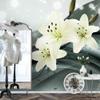 Runa Art Photo Wallpaper Flowers Lilies Abstract Modern Non-Woven Living Room Bedroom Made in Germany 308 x 220 cm Green 9134010b view 2