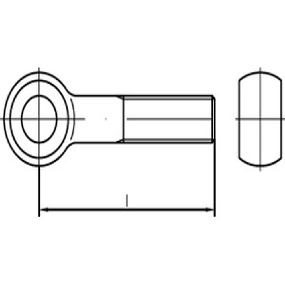 DIN 444 4.6 BM 12 x 55 Eye Bolts, Pack of 10