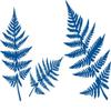 CLICKANDPRINT Ferns Wall Decal, 70 x 45.5 cm, Traffic Blue view 1