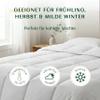 WENDRE All-Season Comforter 135 x 200 cm, Medium-Warm, 300 GSM Microfiber view 2