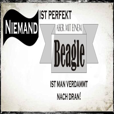 Nobody Is Perfect, but With a Beagle You're Damn Close - Weatherproof Metal Sign