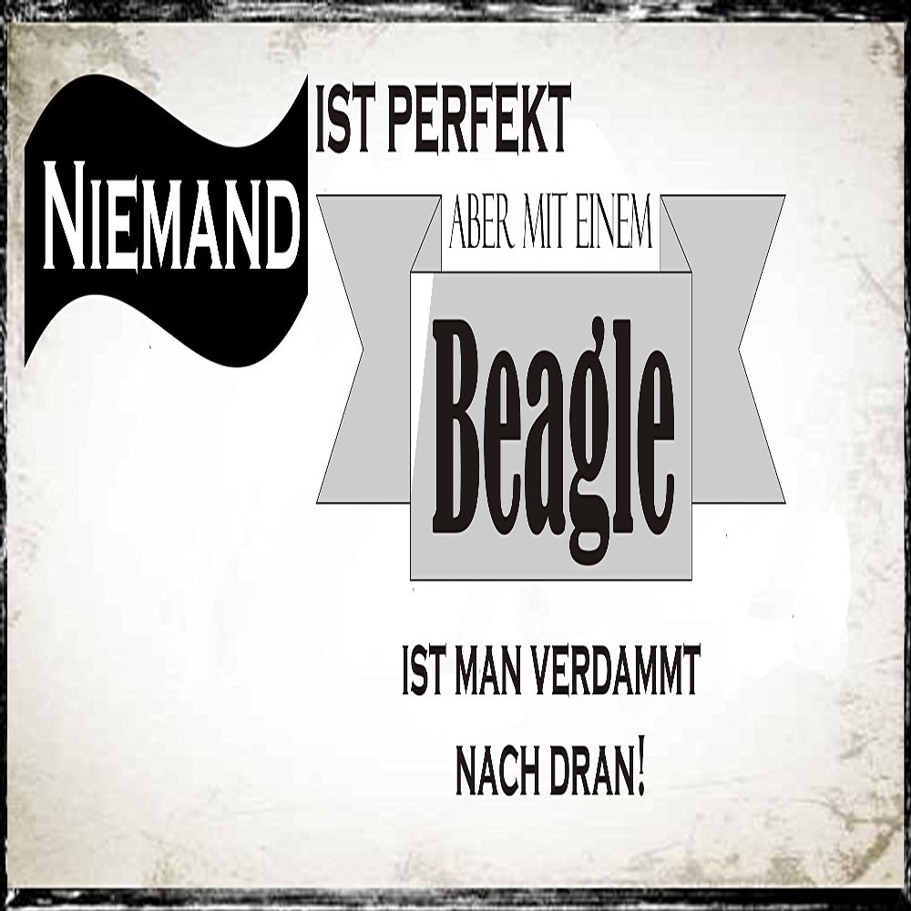 Nobody Is Perfect, but With a Beagle You're Damn Close - Weatherproof Metal Sign