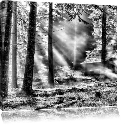 Pixxprint Monochrome Sunbeams in the Forest, 100 x 70 cm Canvas Print, Stretched, Wall Art, Fine Art Print, Not a Poster