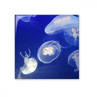 Ocean Jellyfish Science Nature Image Ceramic Bisque Tiles Bathroom Decor Kitchen Wall Tiles, sku00245566f17169-M