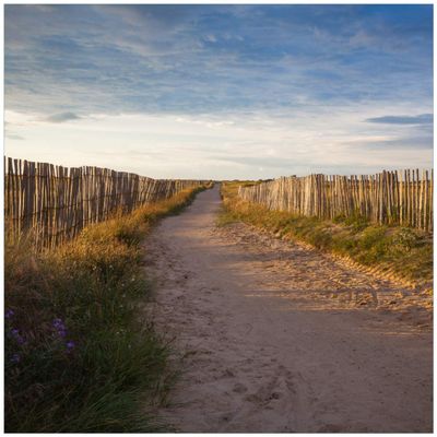Wallario Glass Tabletop Protector 55 x 55 cm for IKEA LACK Table, Brittany Beach Path