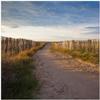 Wallario Glass Tabletop Protector 55 x 55 cm for IKEA LACK Table, Brittany Beach Path view 1
