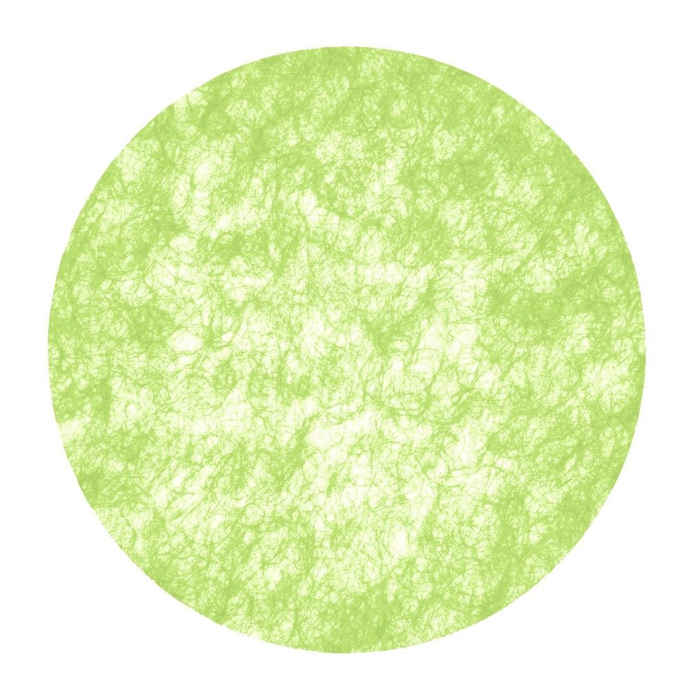 Sizoflor Circles Placemats, 12-Piece Set, Approx. 56 cm, 60K (May Green)